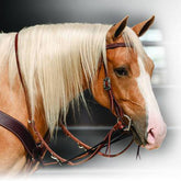 Single Rein German Martingale